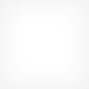 ddos网页端源码